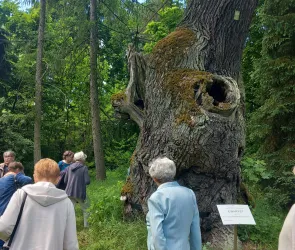 Pałac w Męckiej Woli - wycieczka Dyskusyjnego Klubu Książki przy Filii nr 1 